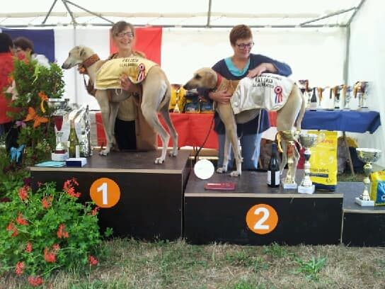 de la Bérondière - Championnat de France coursing Achères 25 août 2018